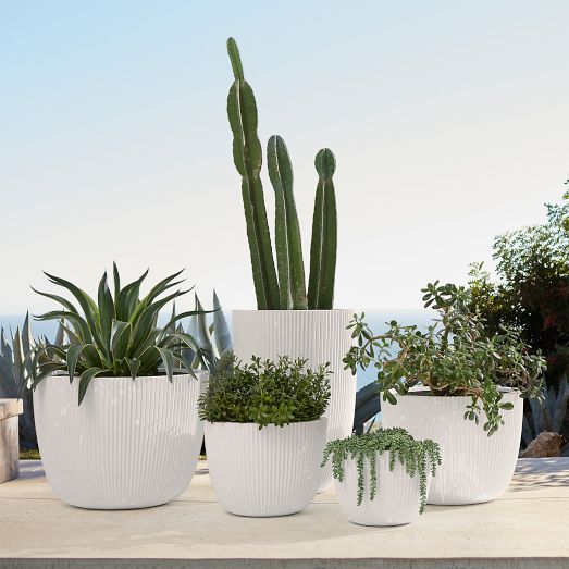 https://assets.weimgs.com/weimgs/rk/images/wcm/products/202336/0060/sanibel-indoor-outdoor-planters-clearance-c.jpg
