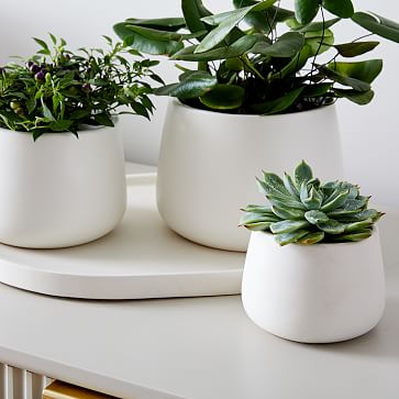 Dahlia Ceramic Planters - Set Of 3 | West Elm