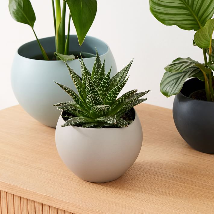 Organic Ceramic Planters Set of 2