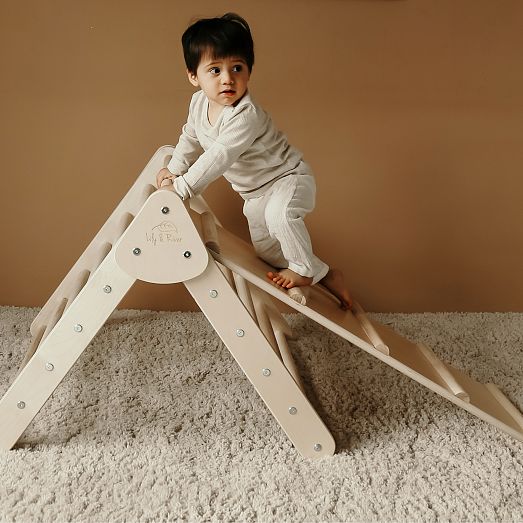 Lily & River Little Climber w/ Ladder | West Elm