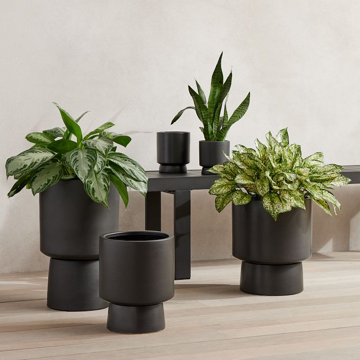 Bishop Ceramic Indoor/Outdoor Pedestal Planters | West Elm