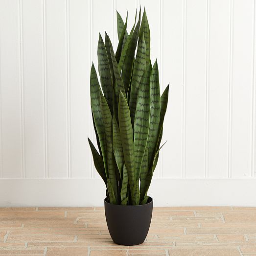 Faux Potted Sansevieria Plant | West Elm