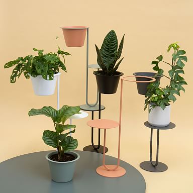 Extra Large (22-29) Indoor Planters