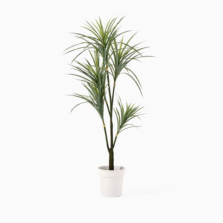 Faux Potted Dracaena Plant