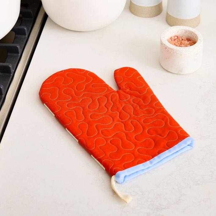 https://assets.weimgs.com/weimgs/rk/images/wcm/products/202338/0100/krista-marie-young-checkered-oven-mitt-o.jpg