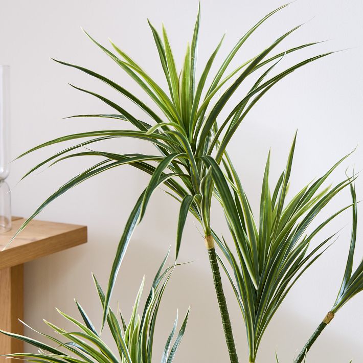 Dracaena artificielle pot en bois PLX105