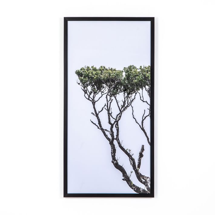 Tree of Life Framed Wall Art West Elm