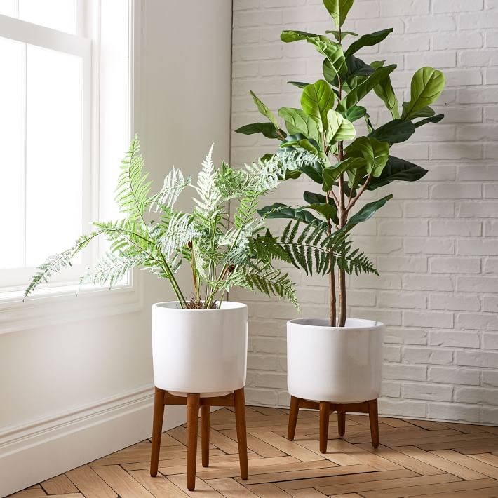 Faux Potted Fan Palm Tree West Elm