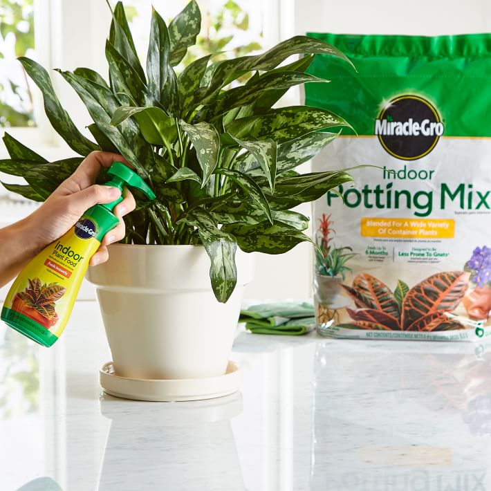 MiracleGro Indoor Potting Mix & Plant Food West Elm