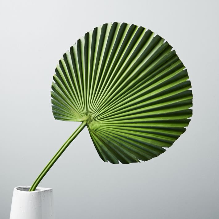 Faux Fan Palm Plant Leaf