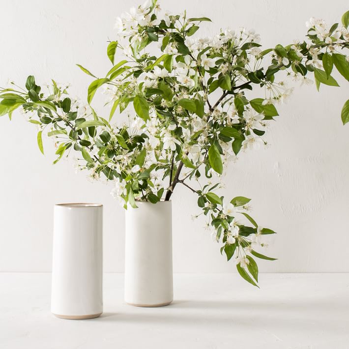 Convivial Minimal Cylinder Vase West Elm