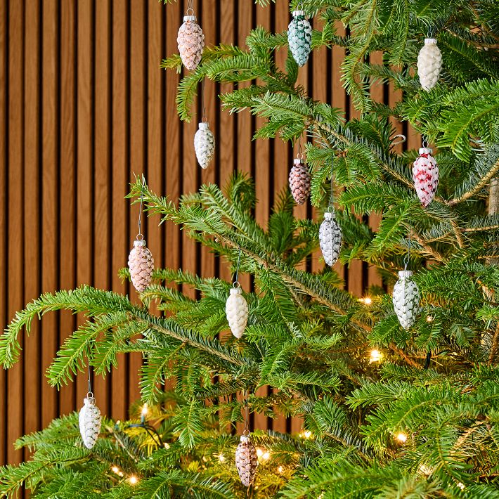 https://assets.weimgs.com/weimgs/rk/images/wcm/products/202343/0021/shiny-brite-pinecone-ornaments-set-of-12-o.jpg