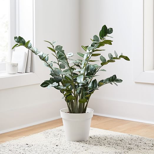 Faux Potted ZZ Plant | West Elm