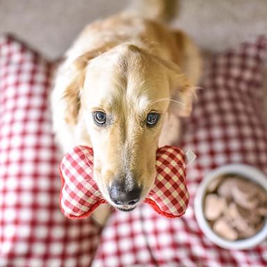 Farmhouse Personalized Large Dog Bowls