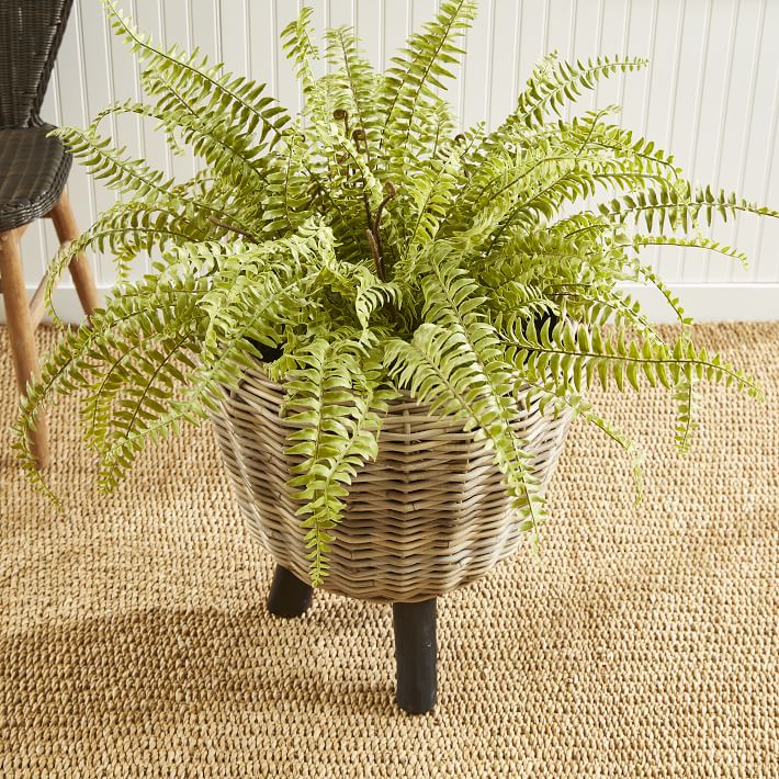 Woven Dry Basket Planters