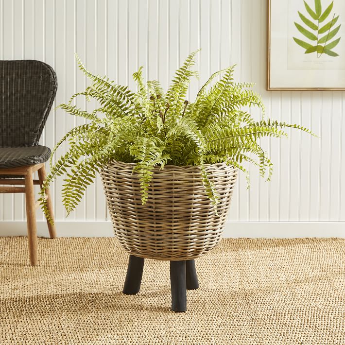 https://assets.weimgs.com/weimgs/rk/images/wcm/products/202347/0033/woven-dry-basket-planters-1-o.jpg