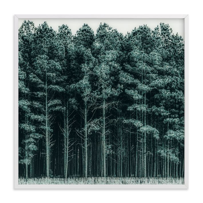 Through the Trees Framed Wall Art by Minted for West Elm