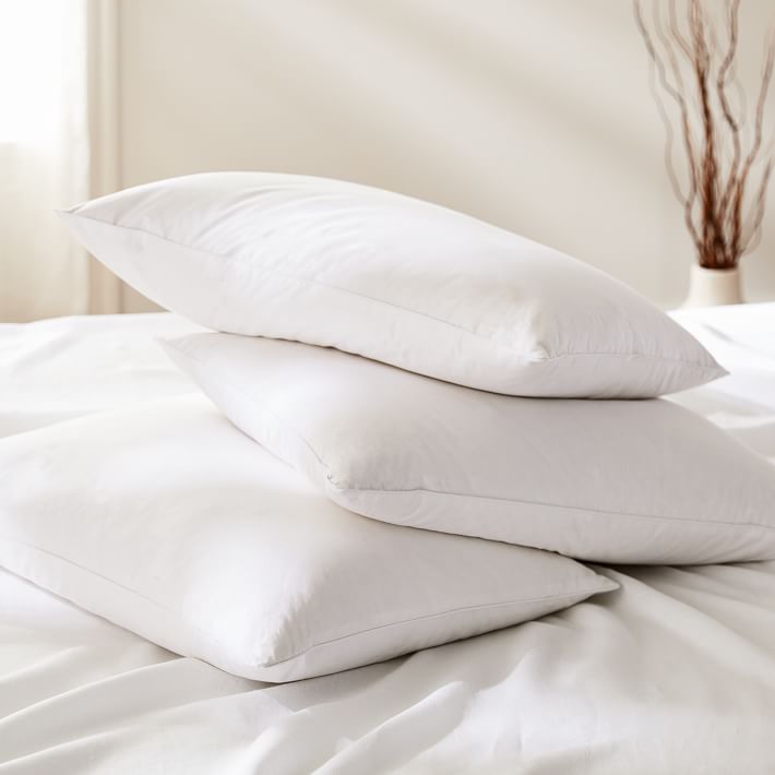 https://assets.weimgs.com/weimgs/rk/images/wcm/products/202351/0009/tencel-blended-down-alternative-pillow-insert-clearance-o.jpg