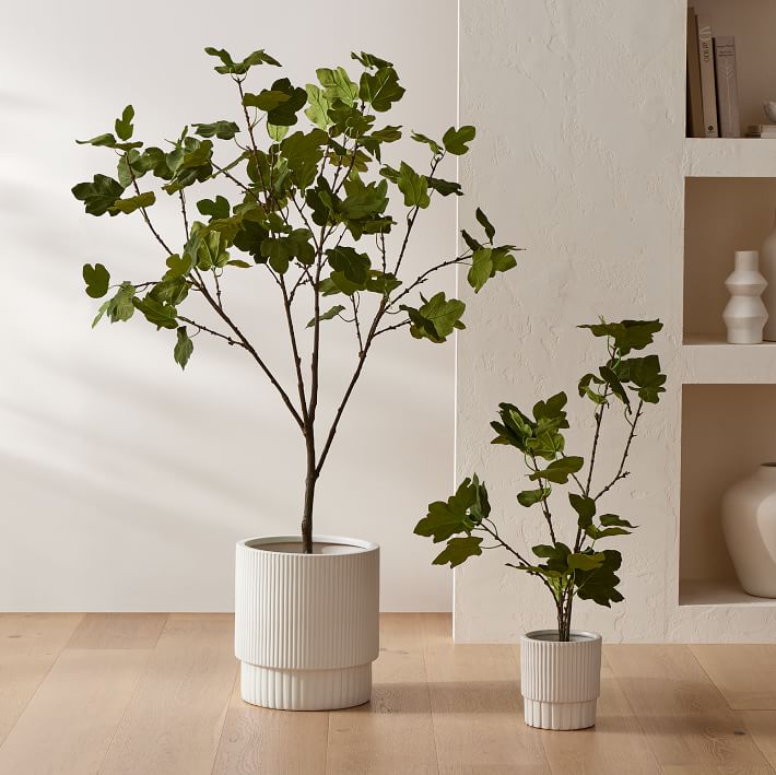 Faux Potted Brown Turkey Fig Tree