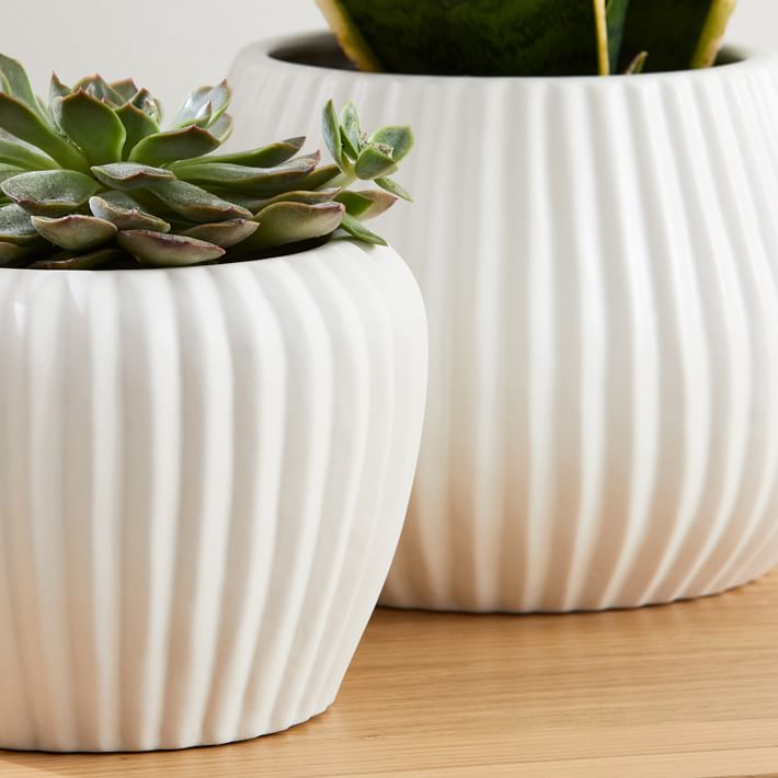 https://assets.weimgs.com/weimgs/rk/images/wcm/products/202351/0045/sanibel-ceramic-tabletop-planters-o.jpg