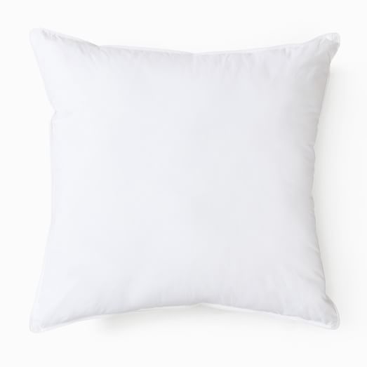 West elm hot sale euro pillow