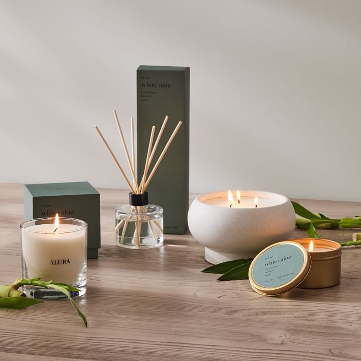 Alura Homescent Collection - White Aloe | West Elm