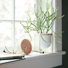 Eden Cross Base Tabletop Planters - White