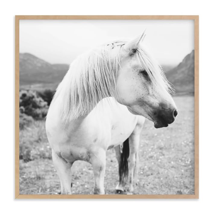 Field Horse Framed Wall Art by Minted for West Elm