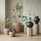 Natural Rustic Wood Plant Stands