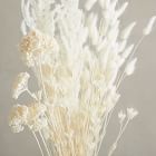 Dried Bleached Bouquet