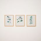 Ruscus, Curry Tree &amp; Magnolia Framed Wall Art by Minted for West Elm