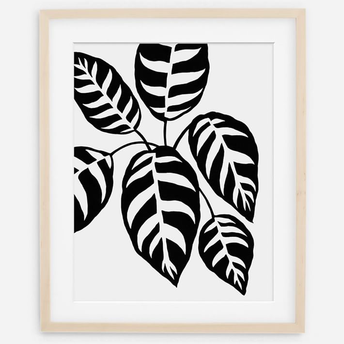 Living Pattern Framed Print - Calathea Leopardina 