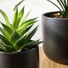 Radius Ceramic Indoor/Outdoor Tabletop Planters