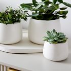 Dahlia Ceramic Planters - Set of 3