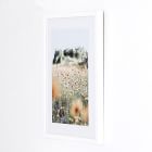 Autumn Fields I Framed Wall Art by Amy Humphries