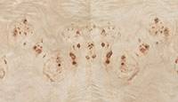 Regal Mappa Burl Queen Bed with Luxurious Light Finish