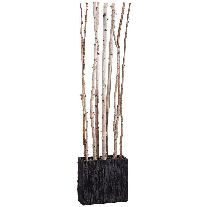 artificial potted birch trees