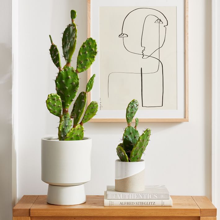Faux Potted Flat Cacti Plant