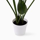 Faux Potted Bird of Paradise Plant