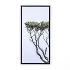 Tree of Life Framed Wall Art | West Elm