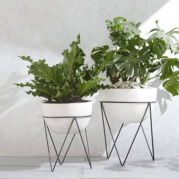 Iris Indoor/Outdoor Planters | West Elm