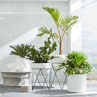 Iris Indoor/Outdoor Planters