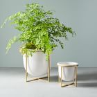 Eden Cross Base Tabletop Planters - White