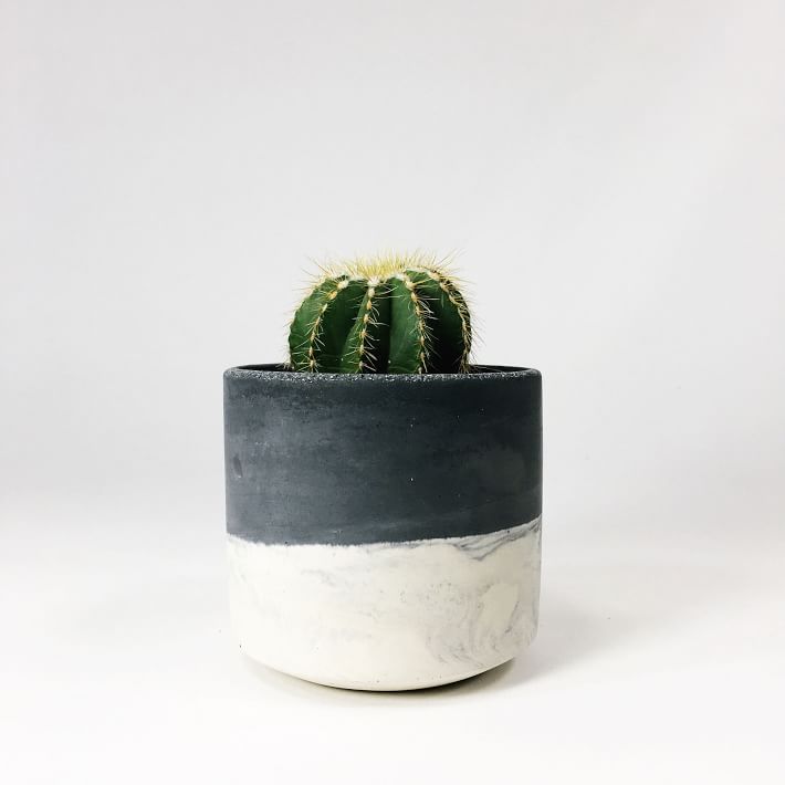 SETTLEWELL Straight-Sided Concrete Pot - Dark Gray Two-Tone