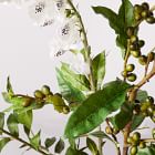 Mixed Faux Botanicals Bouquet - Coffee Branch, Ficus Branch &amp; Fox Glove Branch