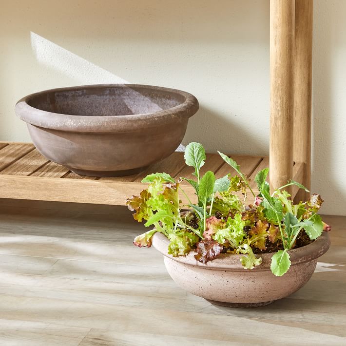 Bergs Erbe Indoor/Outdoor Bowl Planters