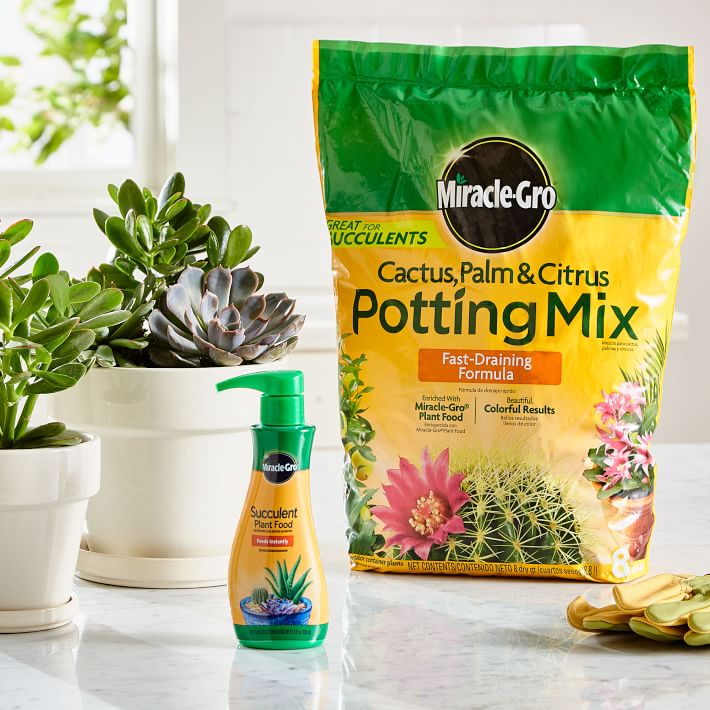 Miracle-Gro Cactus/Palm/Citrus Potting Mix &amp; Succulent Plant Food