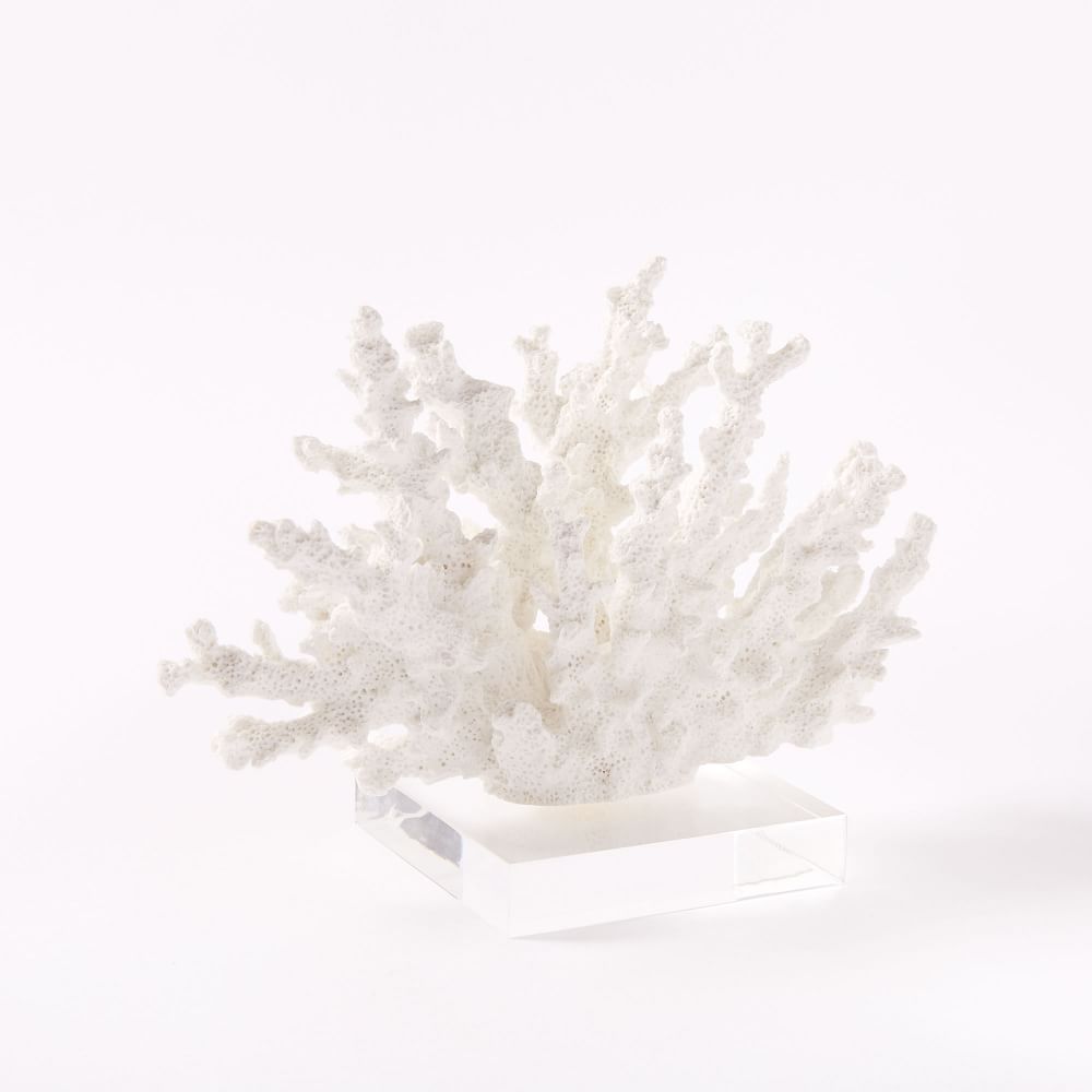 Coral Object, White, Small