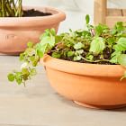 Bergs Erbe Indoor/Outdoor Bowl Planters