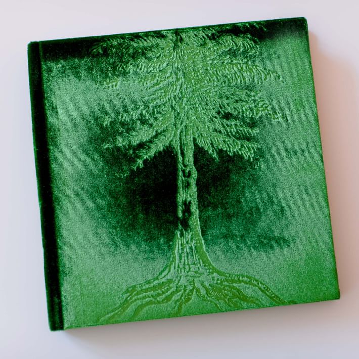 Tree Nature Photo Album